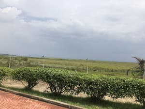 thumbnail: Garden