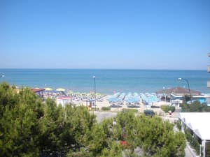 thumbnail: General view