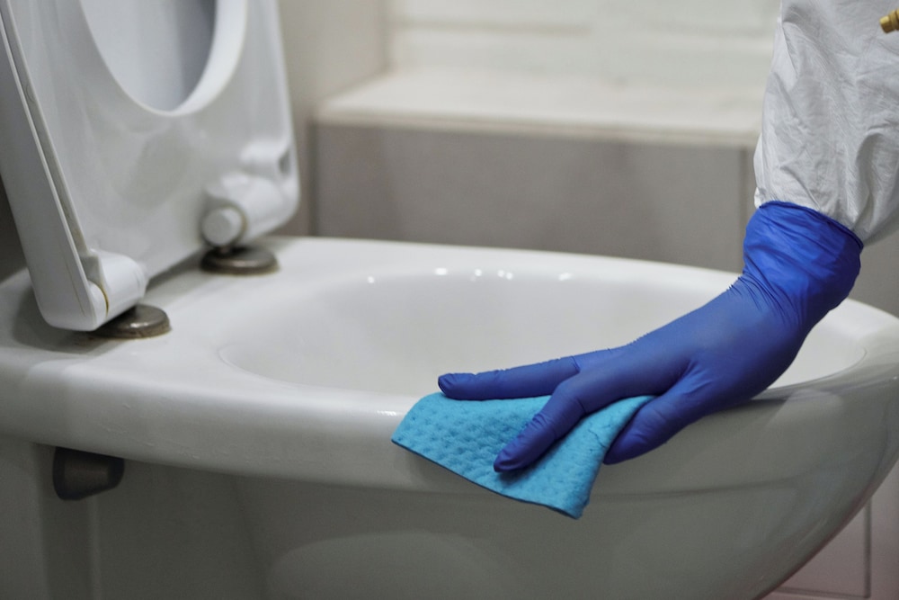 Cleanliness standards