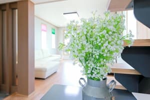 thumbnail: Living area