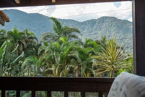 thumbnail: View from room