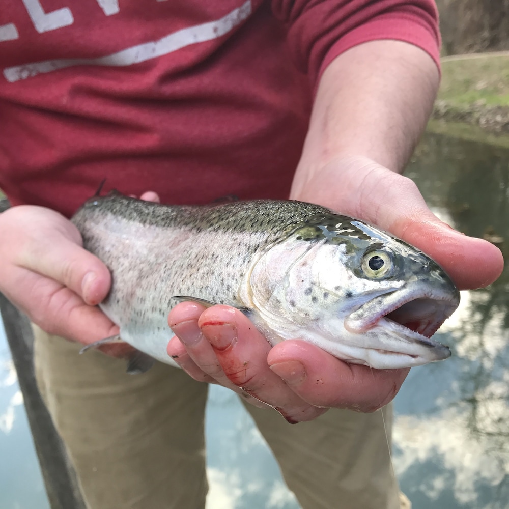 Fishing
