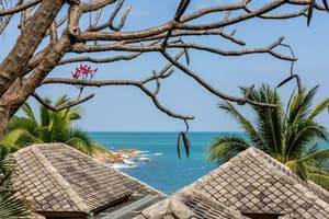 thumbnail: View from property