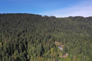thumbnail: View from property