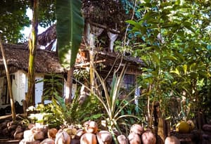 thumbnail: Interior