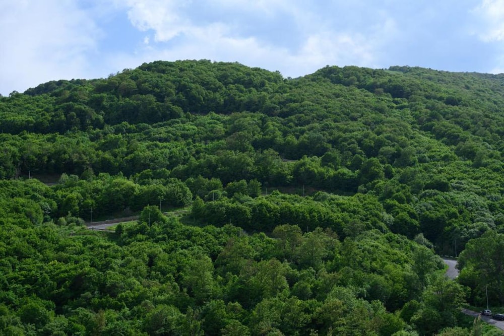 Hill view