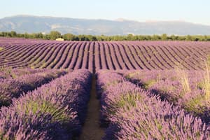 thumbnail: Point of interest