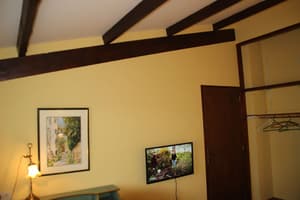 thumbnail: Television