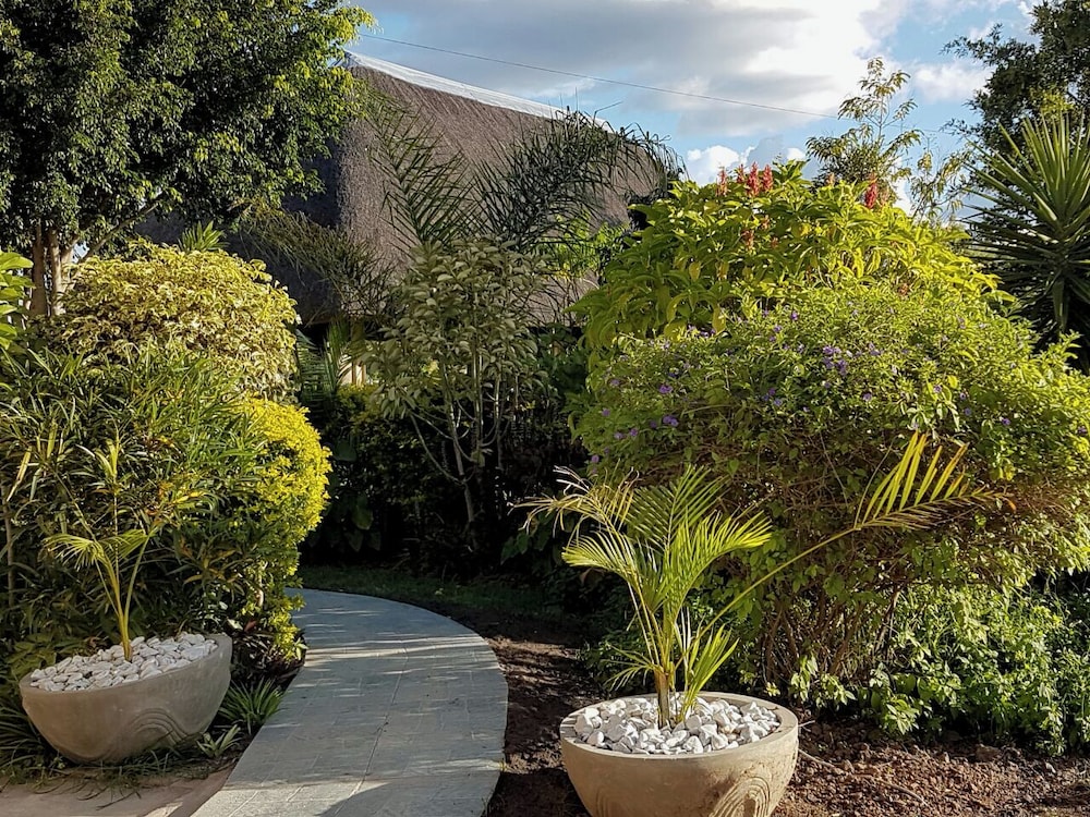 Garden view