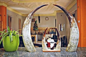 thumbnail: Interior
