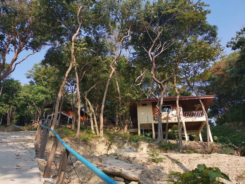 Primary image