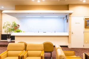 thumbnail: Reception