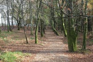 thumbnail: Property grounds