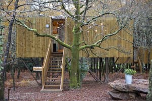 thumbnail: Property grounds