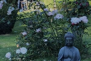 thumbnail: Garden