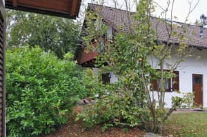 thumbnail: Garden
