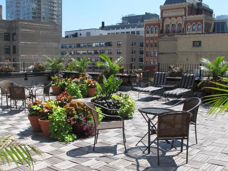 Terrace