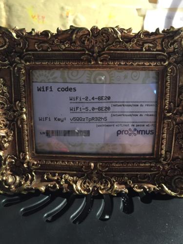 95280247.jpg