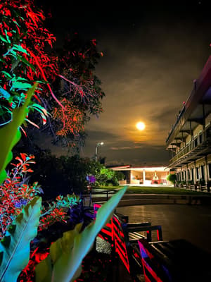thumbnail: Restaurant