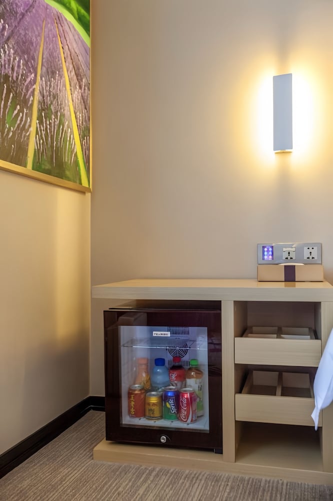 Mini-refrigerator