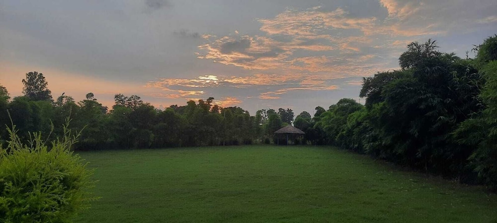 Garden view