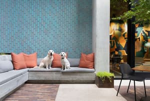 thumbnail: Terrace/patio