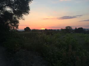 thumbnail: Garden