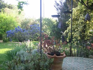 thumbnail: Garden