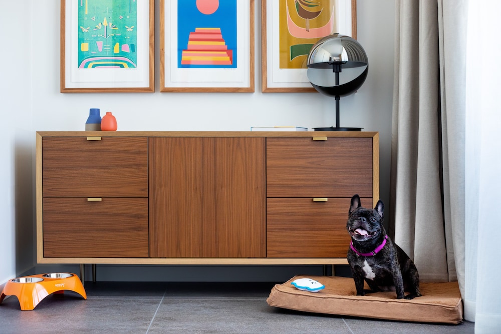 Pet-friendly amenities