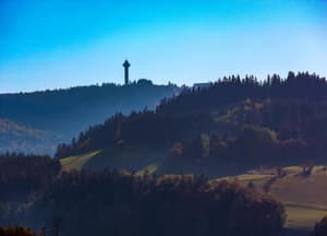 thumbnail: View from property