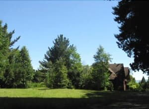 thumbnail: Garden view