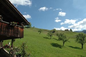 thumbnail: Property grounds