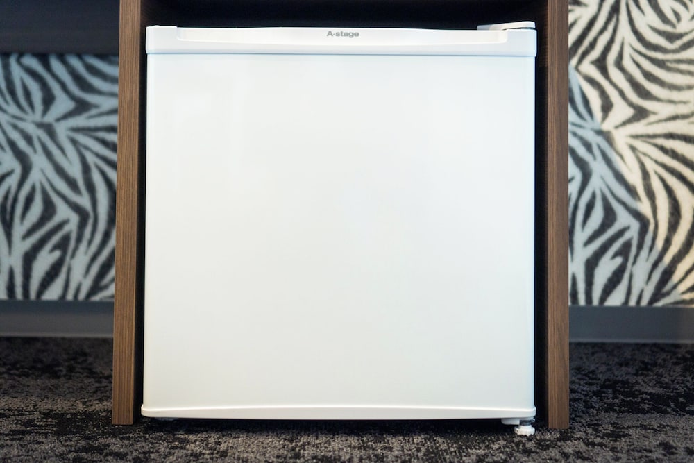 Mini-refrigerator