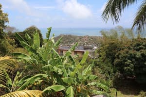 thumbnail: Beach/ocean view