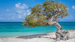 thumbnail: Beach