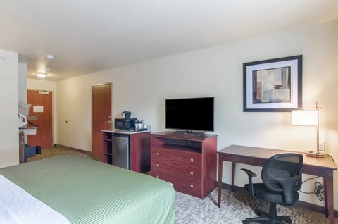 Accessible Single King Guestroom
