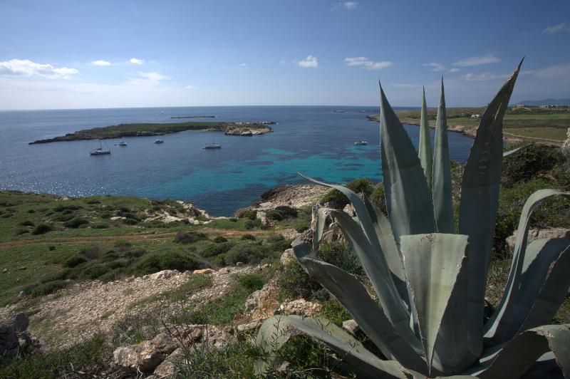 General view