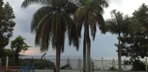 thumbnail: Water view