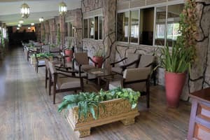 thumbnail: Terrace/patio