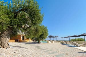thumbnail: Terrace/patio