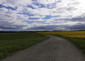 thumbnail: View from property