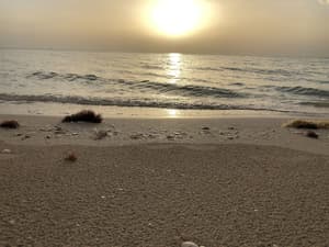 thumbnail: Beach