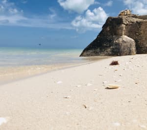 thumbnail: Beach
