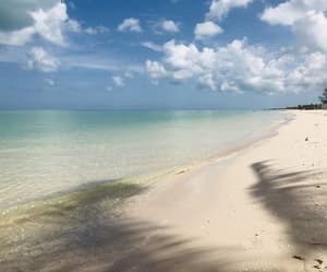 thumbnail: Beach