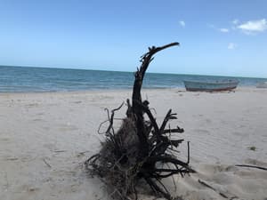 thumbnail: Beach