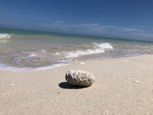 thumbnail: Beach