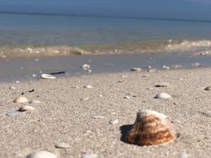 thumbnail: Beach
