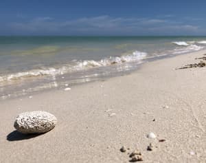 thumbnail: Beach