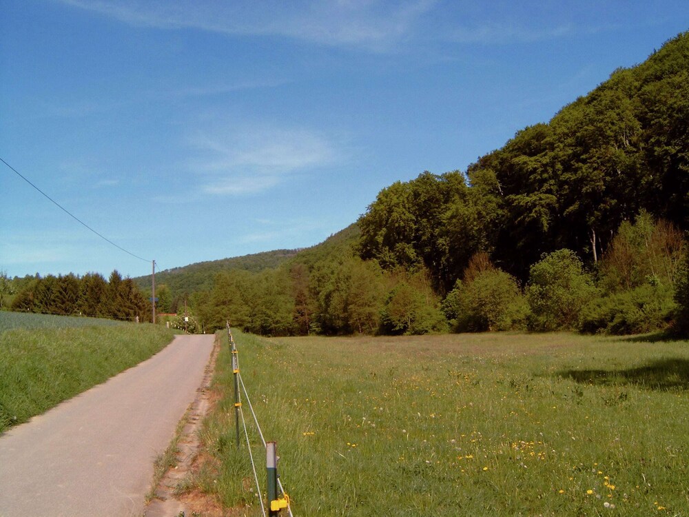 View from property