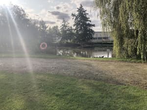 thumbnail: Lake view